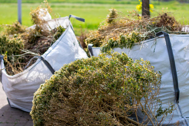 Best Same-Day Junk Removal  in Avila Beach, CA